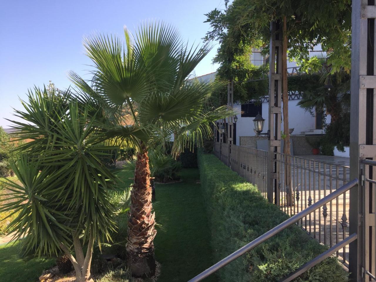 Apartamentos Atalayas Extremadura Zafra Eksteriør billede
